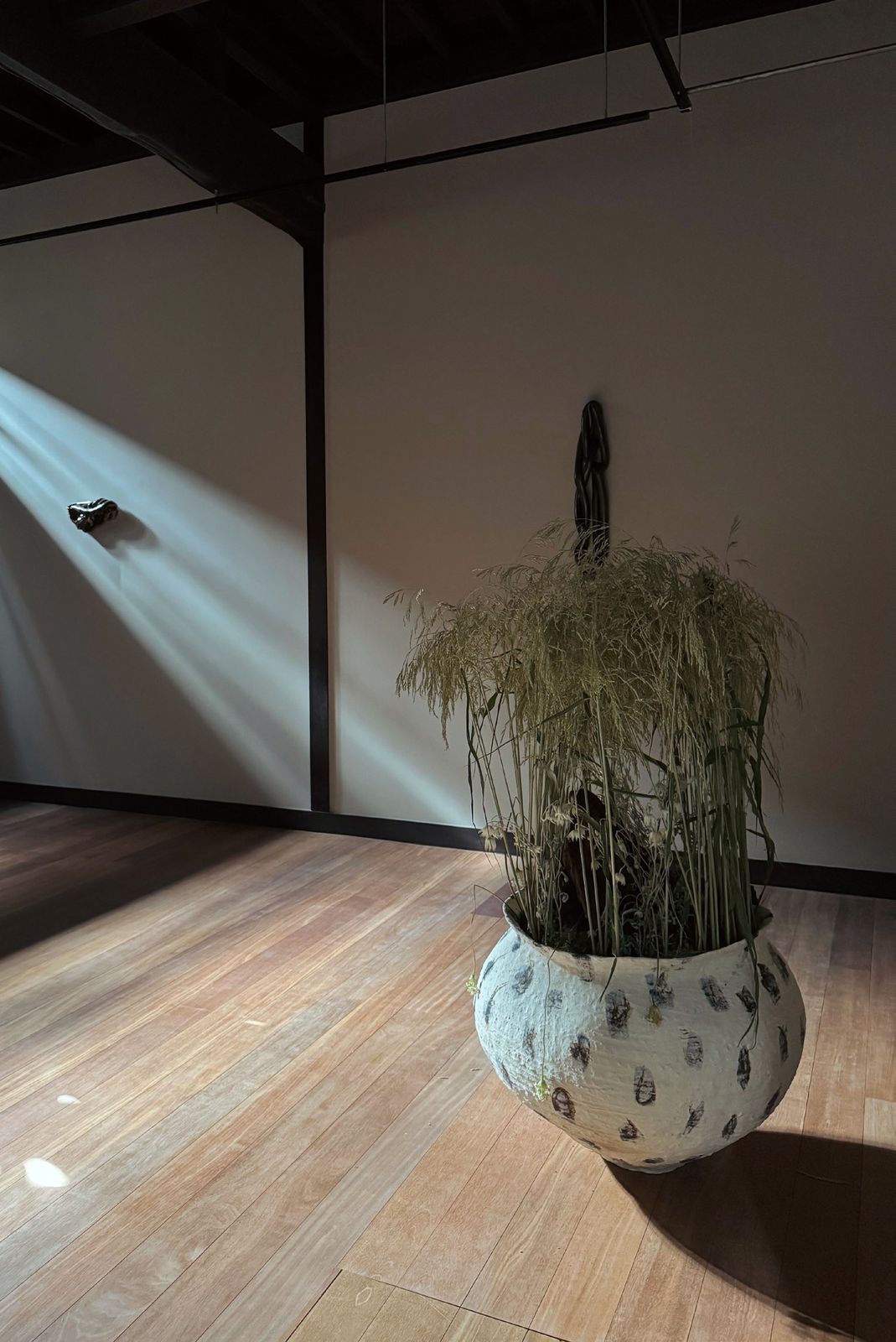 Tall dried grasses in the speckled jar, with a beam of light on the floor.